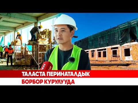 Видео: Таласта перинаталдык борбор курулууда