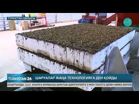 Видео: Сарыағаш пен Келес ауданының тұрғындары облыс әкіміне мәселелерін айтты