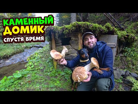 Видео: Каменный домик! Собираю белые грибы в Карпатах! Жаркое из белых грибов.