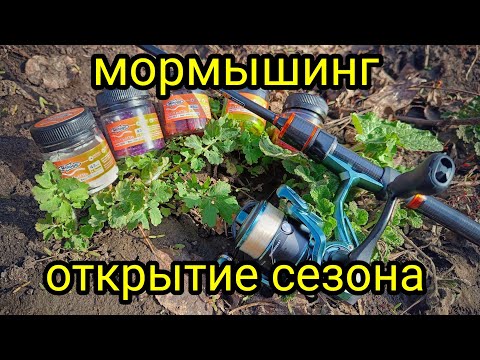 Видео: МОРМЫШИНГ, ПЕРВАЯ ВЕСЕННЯЯ РЫБАЛКА !!! Dayo Nano Atarashii 165, тест на воде !!!