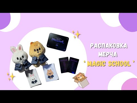 Видео: Распаковка мерча ✨Magic School✨+ сравнение с Pilot