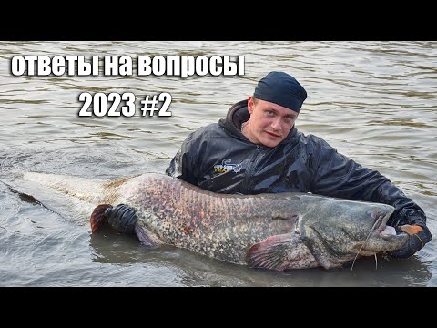 Видео: ЛОВЛЯ СОМА | Ответы на вопросы 2023 # 2