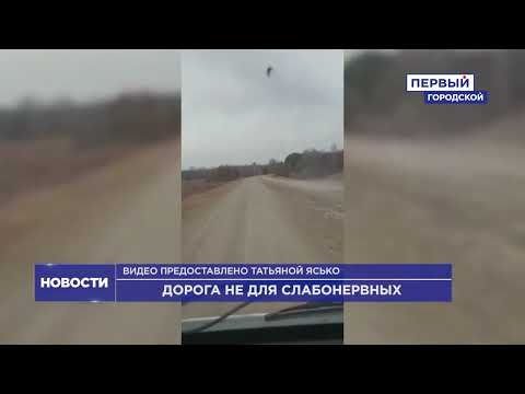 Видео: ДОРОГА ДО УСТЬ-ИШИМА НЕ ДЛЯ СЛАБОНЕРВНЫХ