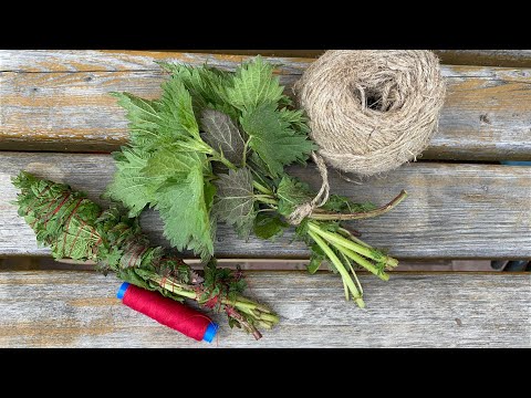 Видео: СКРУТКИ ИЗ КРАПИВЫ / ОКУРИВАНИЕ / МАГИЯ КРАПИВЫ