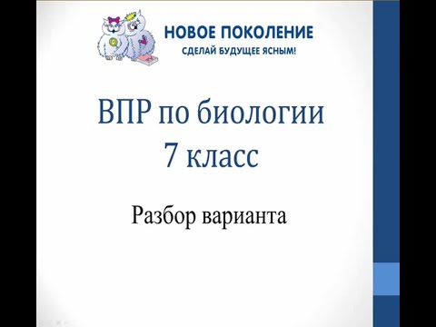 Видео: Биология. ВПР по биологии 7 класс