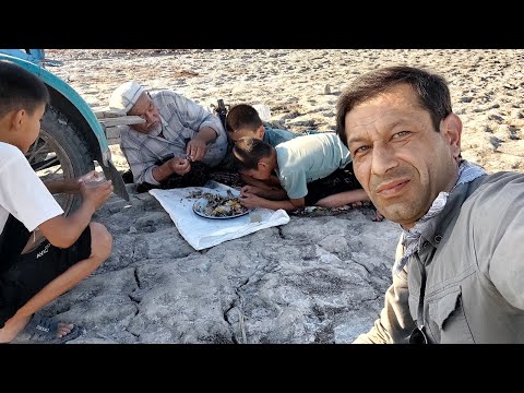 Видео: Жизнь рыбака в Муйнаке, герой Али ага. (Совместный проект)