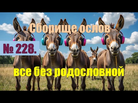 Видео: № 228. Сборище ослов и все без родословной.#антимошенники #аферисты