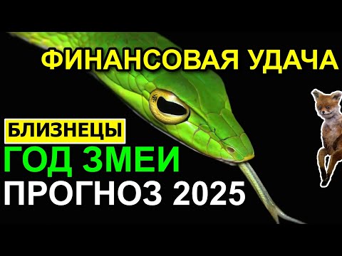 Видео: БЛИЗНЕЦЫ ПРОГНОЗ НА 2025. ГОД ЗМЕИ. ЗАРАБАТЫВАТЬ 🤗