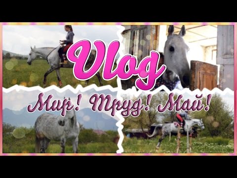 Видео: МИР ТРУД ВЛОГ | Май,2