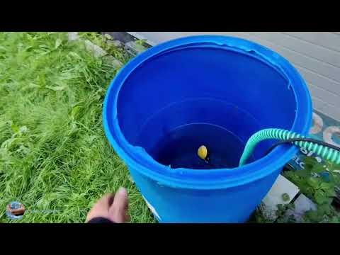 Видео: Абиссинская скважина на огромной горе разведка!!!