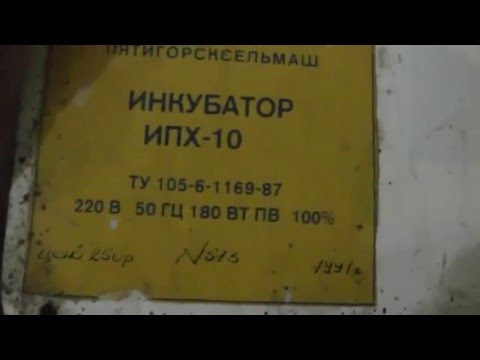Видео: Инкубатор "Петушок" обзор