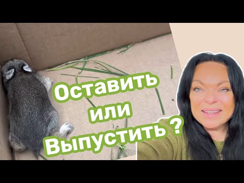 Видео: Спасла малыша от солнечного удара.. хоронить не пришлось , ОЖИЛ ‼️