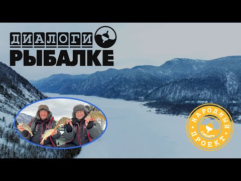 Видео: Бийский хариус и горбатый окунь Телецкого озера. Рыбалка на Алтае с А.Котом