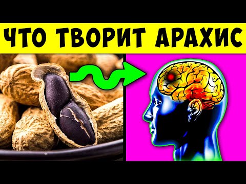 Видео: А что будет, если есть Арахис каждый день!  Польза и вред