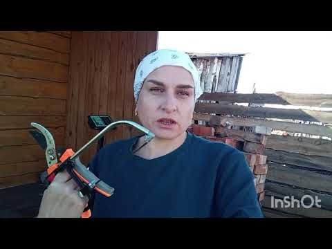 Видео: Дела в деревне все не переделаешь/ посол курицы для копчения/ обрезала яблоню 