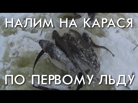 Видео: НАЛИМ НА КАРАСЯ ПО ПЕРВОМУ ЛЬДУ / РЫБАЛКА В НОЯБРЕ