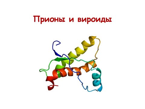 Видео: Прионы и вироиды