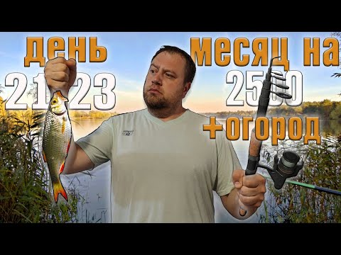 Видео: Месяц  2500 рублей  на еду + огород. День 21-23.