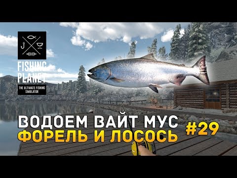 Видео: Водоем Вайт Мус. Форель и Лосось - Fishing Planet #29