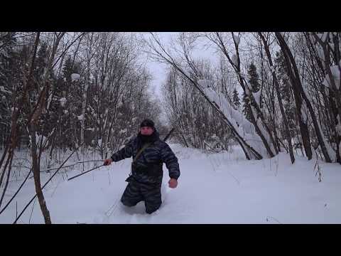 Видео: Мототолкач-Ураган, тону в глубоком снегу , зимняя охота!