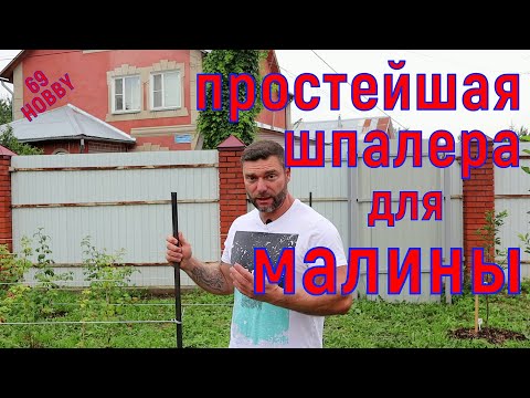 Видео: ОДНОПЛОСКОСТНАЯ шпалера для малины! Самый простой вариант!