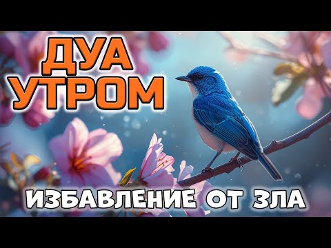 Видео: ✨ ДУА УТРОМ ЧТОБЫ ОЧИСТИТЬСЯ ОТ НЕГАТИВА! 🧼