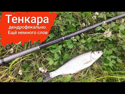 Видео: Тенкара. Дендрофекальный метод. Еще немного слов.