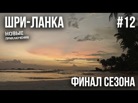 Видео: ШРИ-ЛАНКА 2023 #12. УНАВАТУНА. КРЕВЕТКИ В "ГРЕЧЕ". ЛЕТИМ  ДОМОЙ. ПЕРЕЛЁТ АЭРОФЛОТОМ.