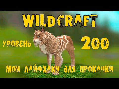 Видео: Несколько ЛАЙФХАКОВ для прокачки в WildCraft