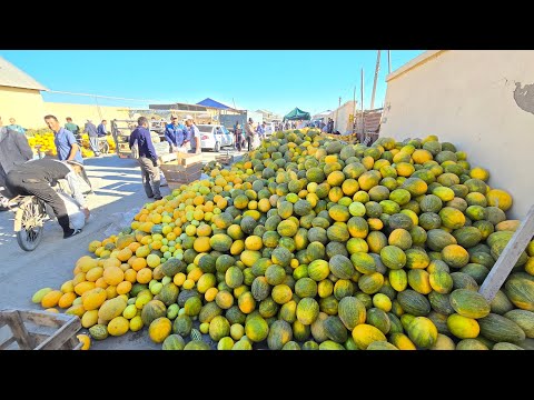 Видео: 10 ноября 2025 г. ТУРТКУЛЬ КОВУН ТАРВУЗ БОЗОР НАРХЛАРИ