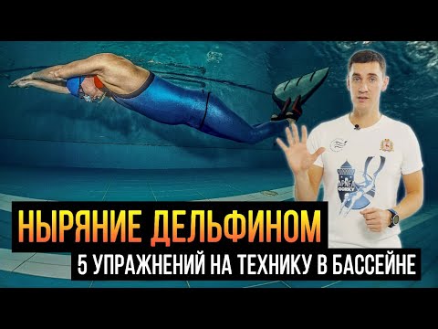 Видео: Техника ныряния ДЕЛЬФИН / упражнения для фридайверов