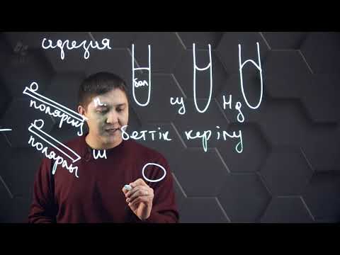 Видео: Табиғаттағы су. 2 бөлім. 8 сынып.