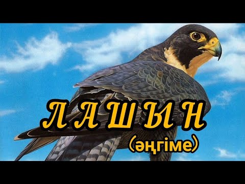 Видео: ЛАШЫН #әңгімелер #Аудиоәңгіме #Аудиокітап #әңгімелержинағы