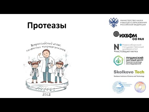 Видео: Протеазы