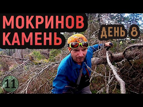 Видео: Дикие Карпаты. МОКРИНОВ КАМЕНЬ: отвесные обрывы, адский бурелом, загадочная яма. День 8 //соло-поход