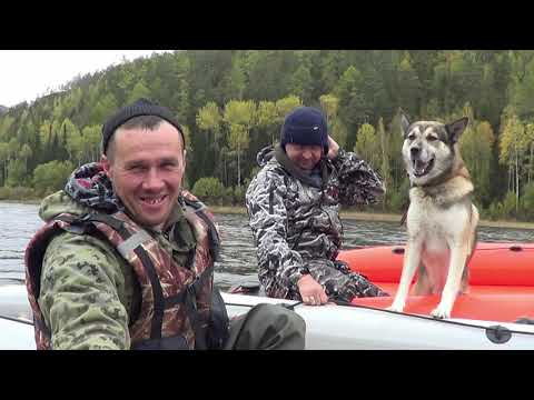 Видео: #порекамсибири БОЛОТОХОД БОЛЬШАЯ ВОДА.