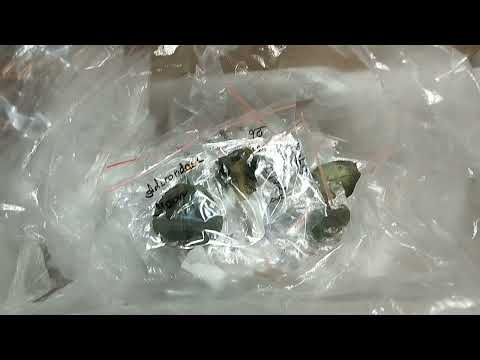 Видео: Фиалки! Полное разочарование... Долгожданная посылка с новинками 😪