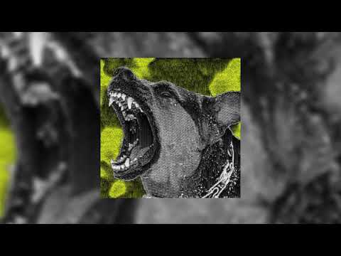 Видео: Неуверенность - СОБАЧИЙ ВЫРОДОК (2023)