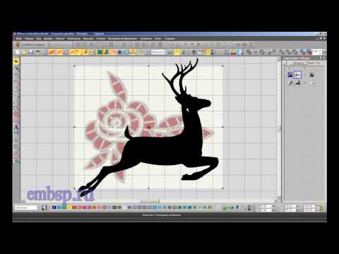 Видео: Wilcom EmbroideryStudio e4.2 уроки курсы Экспресс загрузка дизайнов и картинок