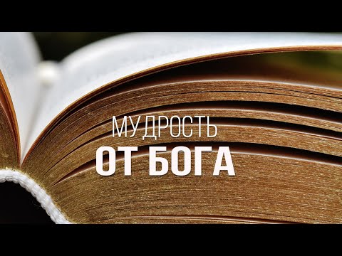 Видео: Мудрость от Бога | Тимофей Волков