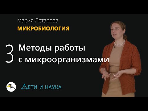 Видео: 3. Методы работы с микроорганизмами.  Мария Летарова - Микробиология 10 - 11 класс