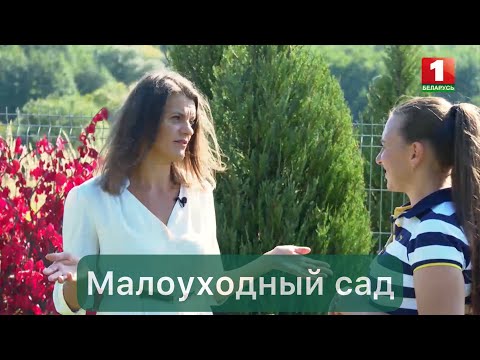 Видео: Малоуходный сад