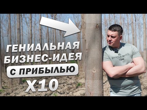 Видео: ОБЗОР БИЗНЕСА на быстрорастущих деревьях Павловнии. НОВАЯ ВЕЧНАЯ НИША со стабильным доходом x10