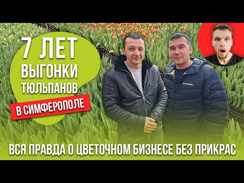 Видео: 7 лет выгонки премиум тюльпанов в Симферополе. Вся правда о цветочном бизнесе без прикрас!