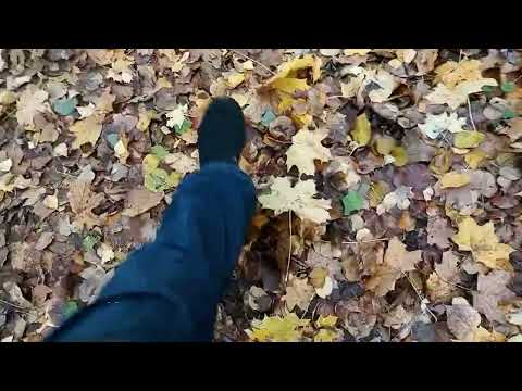 Видео: ОСЕННИЙ БЛЮЗ