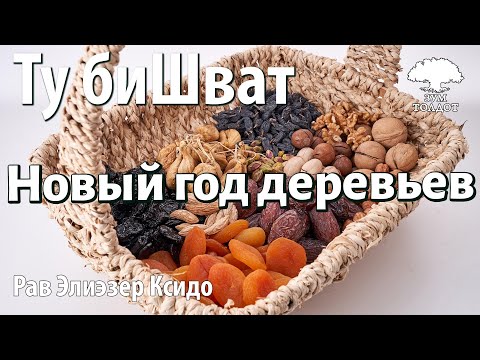 Видео: Ту би-Шват — новый год деревьев. Смысл праздника. Рав Элиэзер Ксидо