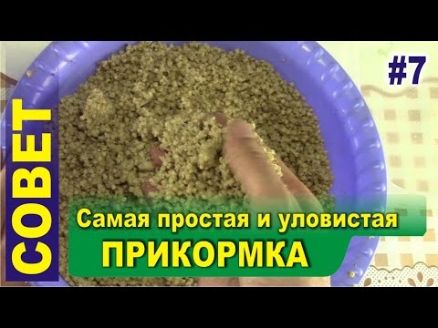 Видео: Самая простая уловистая прикормка для карася, плотвы, карпа, леща и чебака