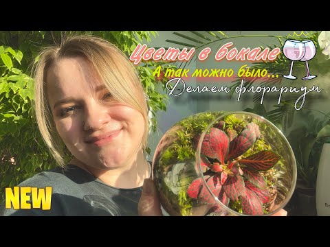 Видео: Флорариум , как сделать? Простой способ! Смогут все!!