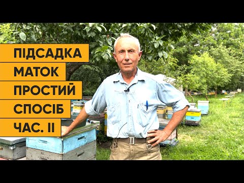 Видео: Метод підсадки бджоломаток від Єгошина частина ІІ