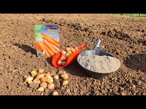 Видео: Что делать и что сеять и сажать в сентябре?!